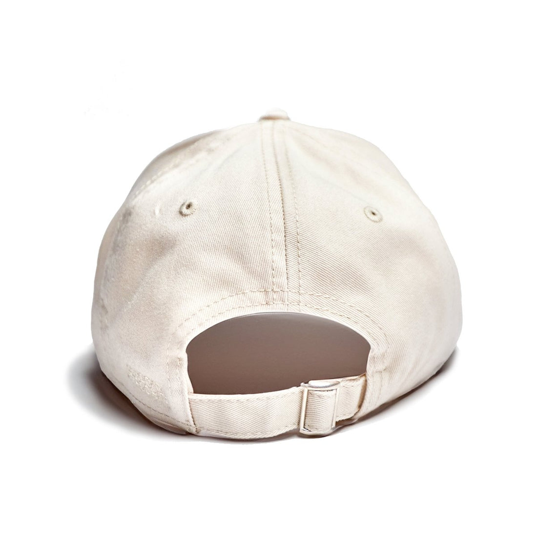 ARROGANT HYPOCRITE CAP [STONE]