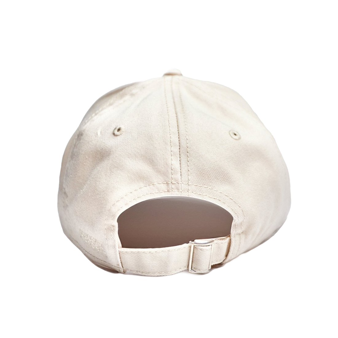 ARROGANT HYPOCRITE CAP [STONE]